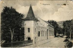 1916 Nagymaros, Zöldfa utca, Bagi villa (r)