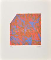 Németh János (1936-): Kompozíció narancsban. Szitanyomat, papír, jelzett, számozott (15/40), 21x21 cm