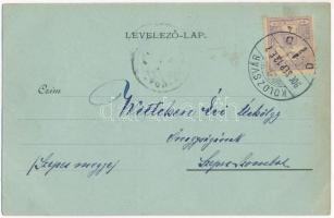 1900 Kolozsvár, Cluj; Élet és közegészségi tanintézet, este. Dunky fivérek / School of Life and Publ...