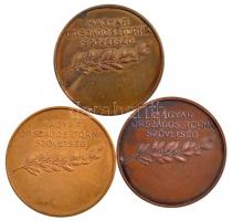 Damkó József (1872-1955) / Exner Károly (1850-1919) DN "Magyar Országos Torna Szövetség" k...