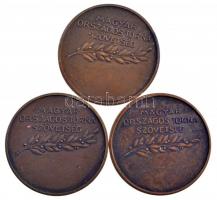 Damkó József (1872-1955) / Exner Károly (1850-1919) DN "Magyar Országos Torna Szövetség" k...