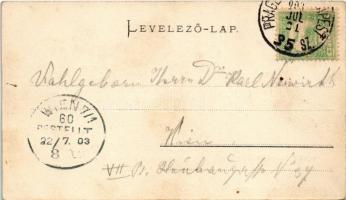 1903 Balatonkenese, Kenese; fürdőtelep. Pósa Endre kiadása + "PRAGERHOF-BUDAPEST 35. SZ." ...