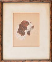 Jelzés nélkül: Kutya. Akvarell, selyem. 16x12 cm. Üvegezett fakeretben.