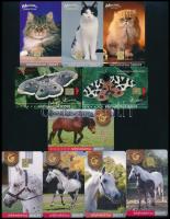 2002-2004 10 db különféle MATÁV telefonkártya (macskák, lepkék, lovak)