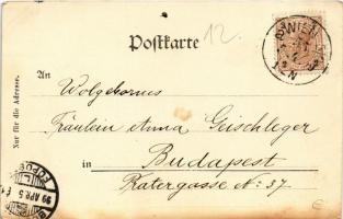 1899 (Vorläufer) Wien, Vienna, Bécs; Der Leopoldsberg / mountain, steamship (fl)