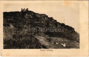 Dézna, Dezna; várhegy / castle hill (fl)