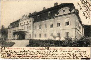 1903 Daruvár, Daruvar; Tükőry kastély / castle / Schloss Anton von Tüköry / Grad Antuna pl. Tüköry + PAKRACZ - BARCS 139. SZ. vasúti mozgóposta bélyegző (ázott / wet damage)