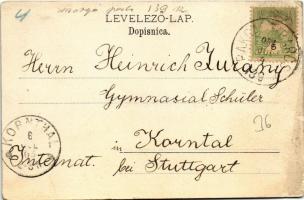 1903 Daruvár, Daruvar; Tükőry kastély / castle / Schloss Anton von Tüköry / Grad Antuna pl. Tüköry +...