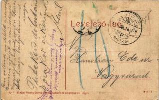 Lippa, Lipova; Solymosi várrom. Özv. Krivány Györgyné kiadása 3017. (W.L.?) / Cetatea Soimos / castl...