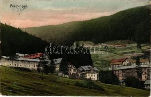 1910 Feketehegy, Cernohorské kúpele (Merény, Vondrisel, Nálepkovo); nyaralók / villas