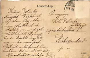 1914 Nagyszombat, Tyrnau, Trnava; Felső külváros, cukorgyár, Vendéglő a Zöldfához. Horovitz Adolf ki...