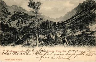 1900 Tátra, Magas-Tátra, Vysoké Tatry; Vaskapu-csúcs. Schmidt Edgar kiadása / Eiserne-Thorspitze / mountain peak (EK)