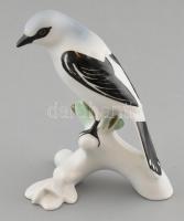 Ágon ülő madár, kézzel festett porcelán figura, jelzés nélkül, kis kopásnyomokkal, m: 16 cm