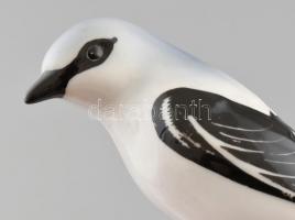 Ágon ülő madár, kézzel festett porcelán figura, jelzés nélkül, kis kopásnyomokkal, m: 16 cm