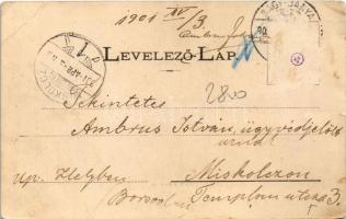 1901 Nagybánya, Baia Mare; Lendvay Márton szobra. Kovács Gyula kiadása / statue, monument (Rb)