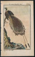 cca 1785 A nagy paradicsommadár, George-Louis Leclerq de Buffon (1707-1788) francia természettudós Allgemeine Naturgeschichte című művéből (Berlin, 1771). Rézmetszet, papír, 13×8 cm