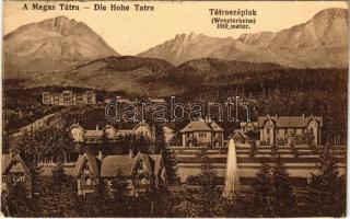 1917 Tátraszéplak, Tatranska Polianka, Westerheim (Magas Tátra, Vysoké Tatry); látkép / general view (fa)
