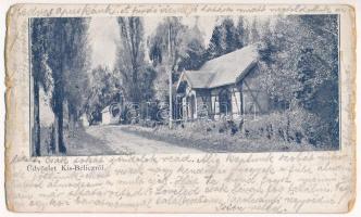 1902 Kisbélic, Malé Bielice (Simony, Partizánske); fürdő / spa, bath + PRIVIGYE - ÉRSEKUJVÁR 72 D vasúti mozgóposta bélyegző (b)