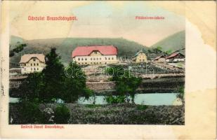 1909 Breznóbánya, Brezno nad Hronom; Földmíves iskola. Baittrok Dezső kiadása / farming school (apró lyuk / tiny pinhole)