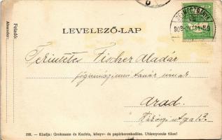 1908 Selmecbánya, Schemnitz, Banská Stiavnica; Kálvária, látkép a főiskolai palotákkal, Szentháromsá...