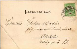 1909 Selmecbánya, Schemnitz, Banská Stiavnica; Szentháromság tér és szobor, piac. Joerges özv. és fi...