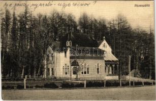 1909 Felsőróna, Horná Roven (Selmecbánya, Banská Stiavnica); Róza szálló. Joerges 1909. / hotel