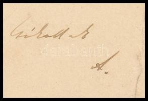 1900 Párizs, Gárdonyi Géza (1863-1922) író, költő saját kezűleg megírt képes levelezőlapja, lánya, G...