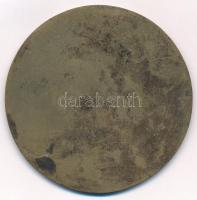 DN "Böde" hintán ülő nőt ábrázoló Br emlékérem (68mm) T:2