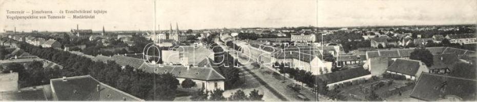 Temesvár panorama card