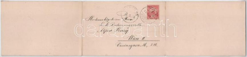 1903 Komárom, Komárno; látkép, híd, hajómalom a Duna-parton. Czike Dénes kiadása. 3-részes kihajthat...