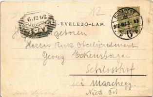 1902 Budapest VI. Andrássy út (Körönd). Ganz Antal 92. (fa)