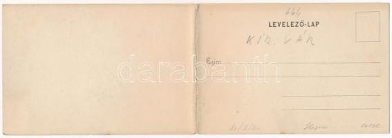 Budapest I. Királyi vár, Lánchíd, gőzhajók, pesti rakpart, Kalodont fogkrém reklám. Divald Károly 64...