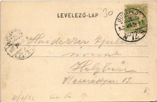 1902 Budapest V. Ferenciek tere, üzletek. Divald Károly 635. sz