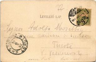 1904 Budapest V. Eskü utca, Váci utca, REX üzlet. Divald Károly 578. sz. (EM)