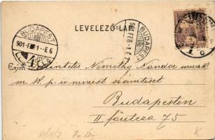 1901 Békéscsaba, Fő tér. Lepage Lajos kiadása (fl)