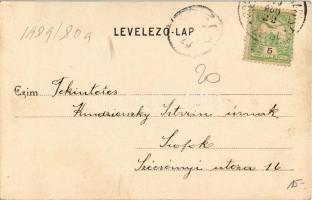 1905 Isaszeg, Honvéd emlékmű. Divald Károly kiadása (fl)