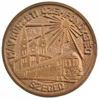 DN MÁV Körzeti Üzemfőnökség - Szeged egyoldalas, öntött bronz emlékérem (103mm) T:1-