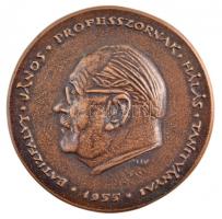 Madarassy Walter (1909-1994) 1955. "Batizfalvy János professzornak hálás tanítványai" kétoldalas, öntött bronz emlékérem (79mm) T:1- / Hungary 1955. "For Professor János Batizfalvy, his grateful disciples" double-sided, cast bronze commemorative medallion (79mm) C:AU