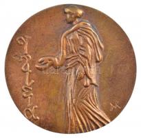Váró Márton (1943-) 1970. "Dr. Jeney Endre" kétoldalas, öntött bronz emlékérem (86mm) T:1-