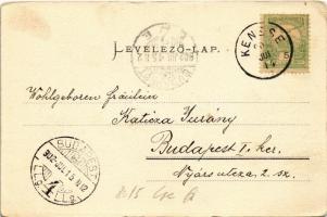 1902 Balatonkenese, Kenese; látkép. Pósa Endre kiadása (EK)