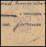1945 a M. kir. 3. honvéd keröleti parancsnokság belépési engedlye honvéd munkaszolgálatos részére, a...