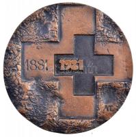 Asszonyi Tamás (1942-) 1981. 1881-1981 / 100 éves a Magyar Vöröskereszt kétoldalas, öntött bronz emlékplakett (109mm) T:1