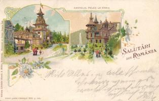 Sinaia litho (b)