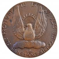 Reményi József (1887-1977) 1962. "Professor Haynal Imre Dr. / PENNIS SUIS PROTEGET TE ET SUB AL...