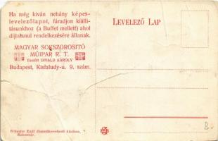 Kolozsvár, Cluj; M. kir. Ferenc József tudományos egyetemi könyvtár. Schuster Emil kiadása. Hátoldal...