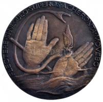 1960. "Dr. Báró Vay Gilda orvos / FLECTERE SI NEQUEO SUPEROS ACHERONATA MOVEBO" kétoldalas...