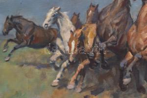 Viski János (1891-1987): Vágta. Olaj, vászon, jelzett. Fa keretben. 59x78 cm / oil on canvas, signed...