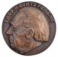 DN Prof. Kováts Ferenc egyoldalas, öntött bronz plakett (135mm) T:1- / Hungary ND Prof. Ferenc Kováts one-sided cast bronze plaque (135mm) C:AU