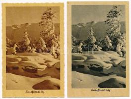 4 db RÉGI erdélyi Weinstock képeslap: Borsa és Gangaló / 4 pre-1945 Transylvanian postcards