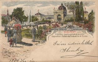 1896 Budapest litho (PS)